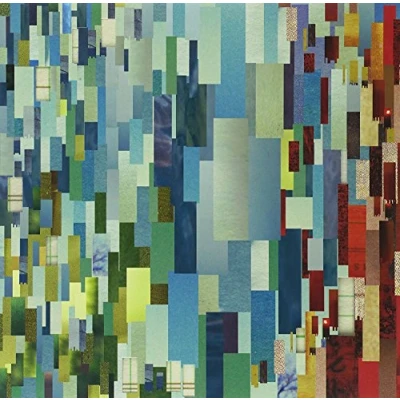 Imagen de Narrow Stairs [180 gm vinyl] [Vinilo]