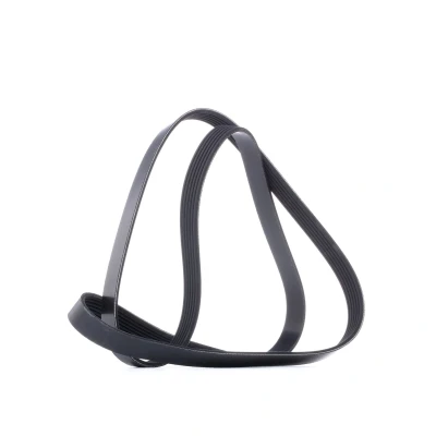 Imagen de DAYCO 6PK1600 Correa trapecial poli V 1600,0 6 VOLKSWAGEN: Golf 5, Touran I, Polo Hatchback, OPEL: Combo C Tour, Corsa Astra G CC