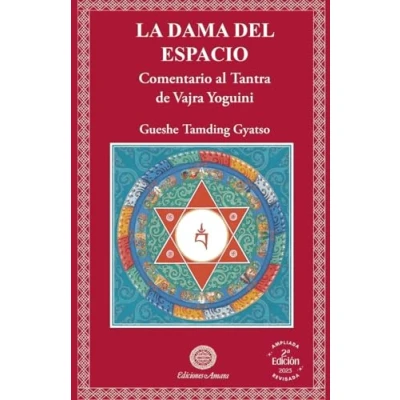Imagen de La Dama Del Espacio (segunda Edición)