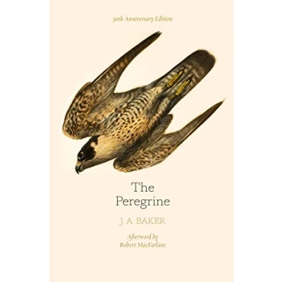 Imagen de The Peregrine: 50th Anniversary Edition