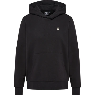 Imagen de Sudadera con capucha Hummel Pulse