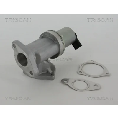Imagen de TRISCAN 8813 43002 Válvula EGR electrónico con juntas KIA: Sportage II, cee‘d I Hatchback, Familiar, HYUNDAI: Tucson, SANTA FE 2