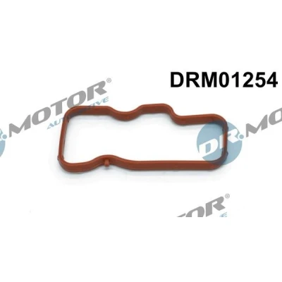 Imagen de DR.MOTOR AUTOMOTIVE DRM01254 Junta Colector de Admision para cilindro 4 6, Entrada AUDI: A6 C6 Avant, Berlina, A4 B7 Berlina norauto, oscaro,