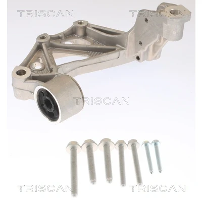 Imagen de TRISCAN 8500 295261 Soporte cojinete, cuerpo del eje