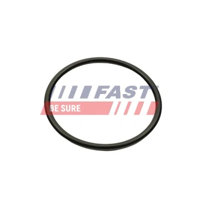 Imagen de FAST FT49460 Junta Colector de Admision Salida RENAULT: MEGANE 2, CLIO 1, DACIA: Logan I Berlina, Duster SUV, MCV