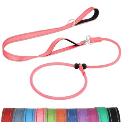 Imagen de Joytale Correa Retriever de Entrenamiento, Doble Asa Acolchada, Collar Antideslizante, Reflectante para Perros Pequeños y Medianos, 1,8 M, Rosa