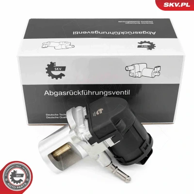 Imagen de Válvula EGR ESEN SKV 14SKV266