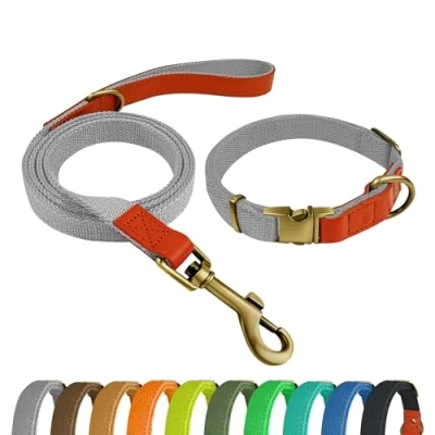 Imagen de Qianruida Collar y Correa Perro Conjunto de para Perros PequeñOs Medianos Grandes Gris Oscuro,M