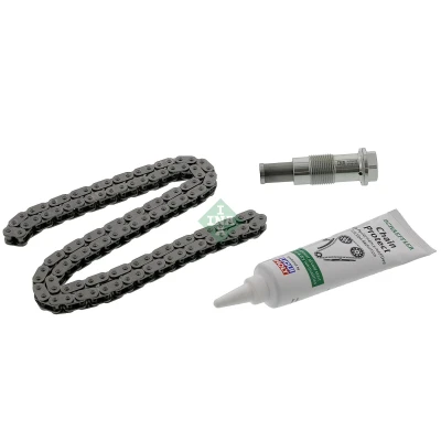 Imagen de Kit de cadena distribución INA 559 1007 11