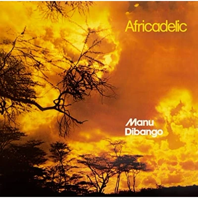 Imagen de Africadelic Vinilo
