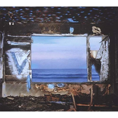 Imagen de Fading Frontier [Vinilo]