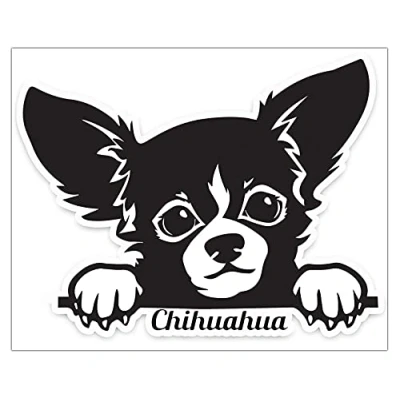 Imagen de Biomar Labs® 1 x Pegatina Vinilo Autoadhesivo Calcomanias de la Ventana para Coche Car Moto Puerta Casco Scooter Bici Motocicleta Tuning Dog Perro Chihuahua B 97