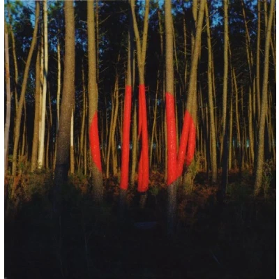 Imagen de Piano Ombre [Vinilo]