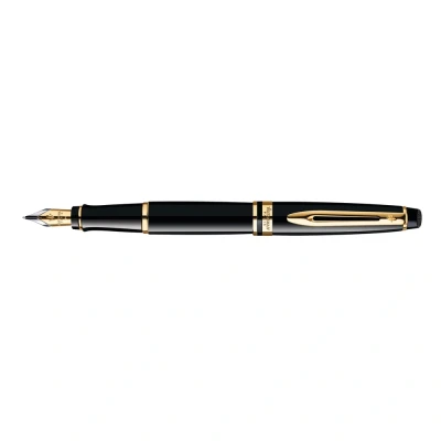 Imagen de Waterman Expert Black GT FP M