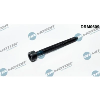 Imagen de DR.MOTOR AUTOMOTIVE DRM0609 Tornillo, soporte inyector VOLKSWAGEN: Bora Berlina, Transporter 5 Bus, Golf 4, AUDI: A3 Sportback, Hatchback