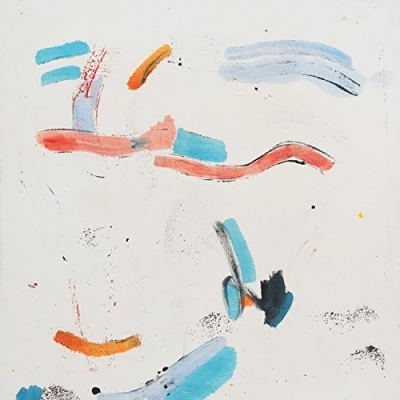Imagen de A Year With 13 Moons Vinilo