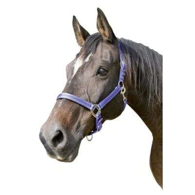 Imagen de Kerbl Cabeza Cuello Mustang Azul/Negro, Talla 2