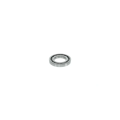 Imagen de BOSCH 1 460 925 001 Cojinete