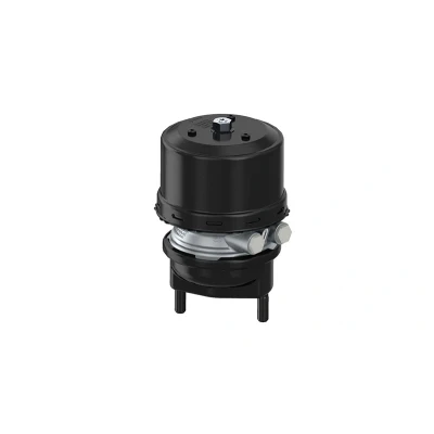 Imagen de Cilindro de freno combinado WABCO 9254840200