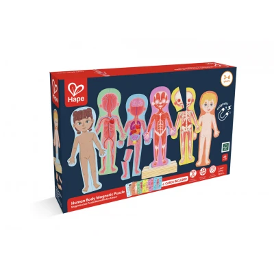 Imagen de Juego de Anatomía Bodymagnet Janod