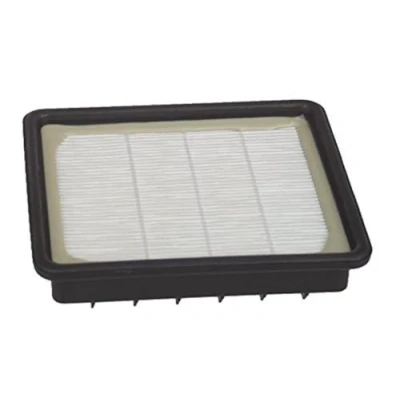 Imagen de Hoover Filtro de motor hepa s89 35600772