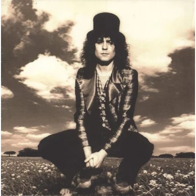 Imagen de Skycloaked Lord Vinilo