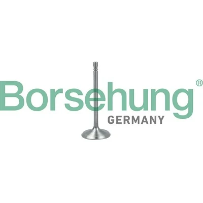 Imagen de Borsehung B19017 Válvula de Admisión VOLKSWAGEN: GOLF 5, 6, Bora Berlina, AUDI: A3 Hatchback, A4 B5 Sportback, SEAT: Leon I Hatchback