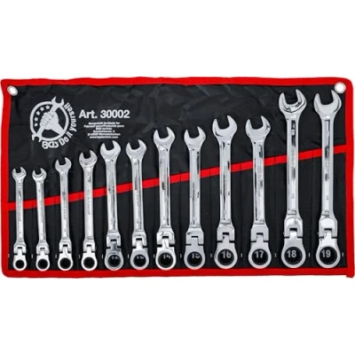 Imagen de BGS Diy 30002 Juego de llaves combinadas con carraca cabeza flexible 8 19 mm 12 piezas