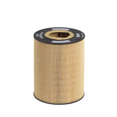 Imagen de HENGST FILTER E13H D47 Filtro de aceite Cartucho filtrante MAN: TGA