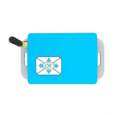 Imagen de LyLmLe R RF433C Controlador Sincronizador Externo