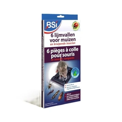 Imagen de BSI Trampas de Pegamento para ratón x 6 fuerte Sin cebos Ideal habitaciones con alimentos, madera