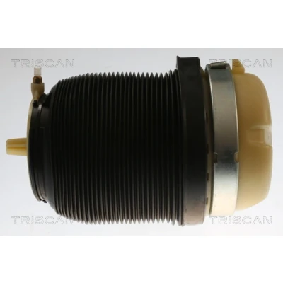 Imagen de TRISCAN 8720 29202 Muelle neumático, suspensión AUDI: A6 C6 Sedán, Allroad