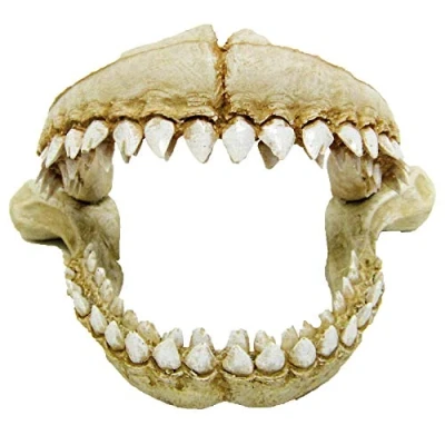 Imagen de Amtra Dientes de Tiburón Decoración Acuario Resina Artificial, Escénico, No Tóxico, 21.3 x 14.2 13.2 cm