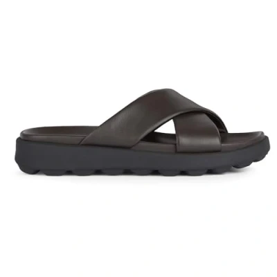 Imagen de Zapatillas Geox Spherica EC006 B