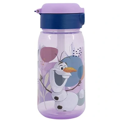 Imagen de Stor BOTELLA ACTIVE 510 ML FROZEN TRUST THE JOURNEY