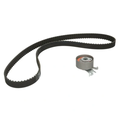 Imagen de INA 530 0541 10 Kit de correa distribución 138