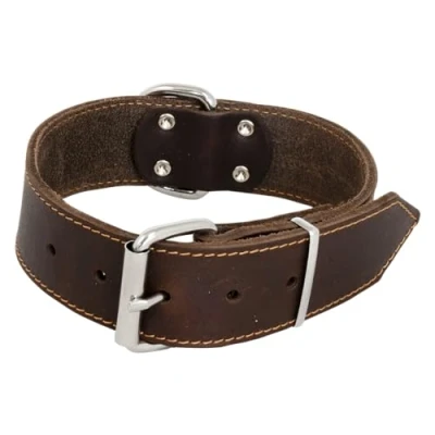 Imagen de JACK AND VANILLA, Collar Ancho para Perro, Modelo de Piel Grasa, Color marrón, Talla 30 mm x 50 cm