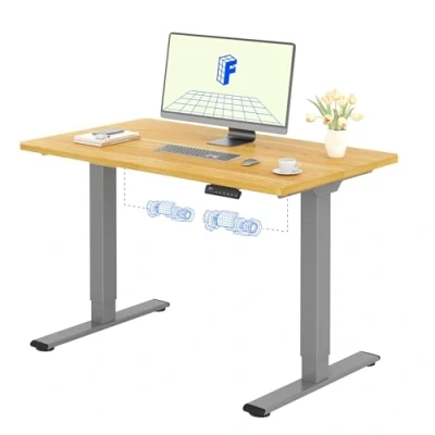 Imagen de FLEXISPOT Escritorio Elevable Eléctrico 120X80cm con Tablero Entero 2 Motor, Standing Desk, Mesa de 4 Opciones Memoria Inteligente para Oficina y Hogar Arce