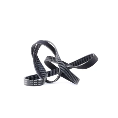 Imagen de SKF VKMV 6PK1800 Correa trapecial poli V 1800 6 OPEL: Astra F CC, Berlina, Vectra B FORD: Transit Mk4 Furgón, Tourneo