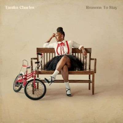 Imagen de Reasons To Stay Tanika Charles