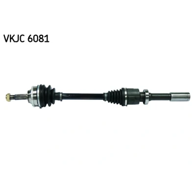 Imagen de SKF VKJC 6081 Árbol de transmisión 718, 172 con apoyo RENAULT: CLIO 2