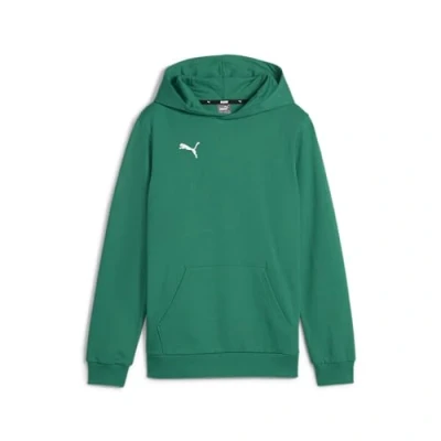 Imagen de PUMA Sudadera con Capucha Teamgoal para niño