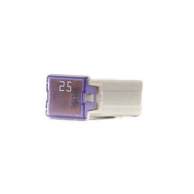 Imagen de BOSCH 1 987 529 057 Fusible 25 32
