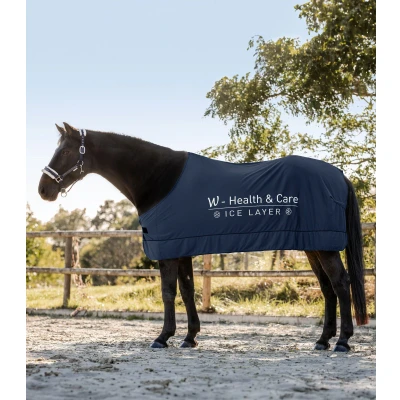 Imagen de Waldhausen W Health &amp; Care Ice Layer Cooler rug
