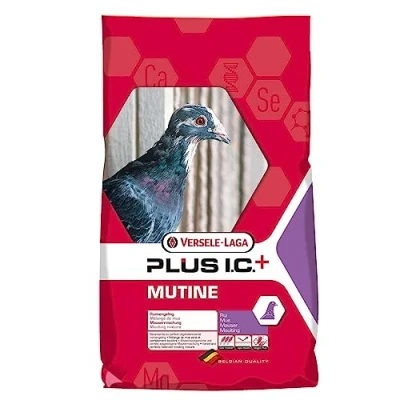 Imagen de MUDA PLUS I.C. 20KG.º·