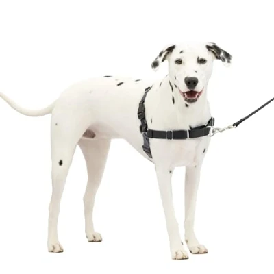 Imagen de PetSafe Easy Walk arnés para Perro, sin tirones, Entrenamiento con Correa y arnés, Evita Que Las Mascotas tiren asfixien en los Paseos, Mediano/Grande, carbón/Negro