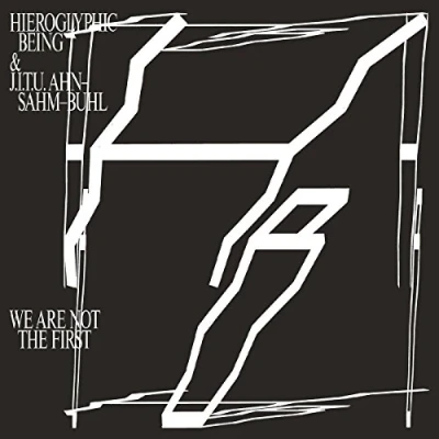 Imagen de We Are Not The First Vinilo