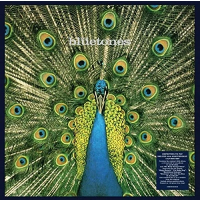 Imagen de Expecting To Fly: 25th Anniversary Vinilo Azul