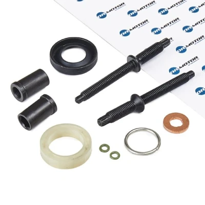 Imagen de DR.MOTOR AUTOMOTIVE DRM040L Juntas con tornillo FORD: Focus C Max, FIESTA 6, 2 Limousine, PEUGEOT: 307 Hatchback, 5008 I, 308 I SW norauto,