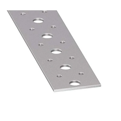 Imagen de Placa perforada galvanizada, 40 x 2 mm, 1 m